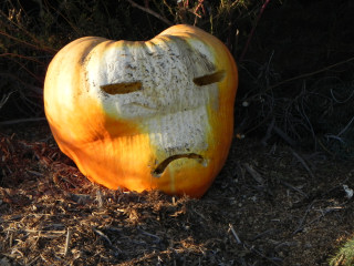 Alien, Nipomo Pumpkin Patch best carving idea